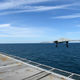 An X-47B Unmanned Combat Air System demonstrator launches from the flight deck of the aircraft carrier USS George H.W. Bush (CVN 77), 2013.